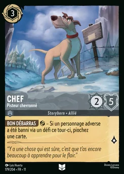 Chef - Pisteur chevronné 179/204 Givresort