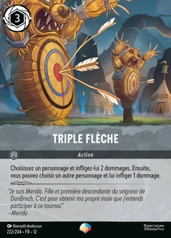 Triple flèche 222/204 Contrées Inconnues
